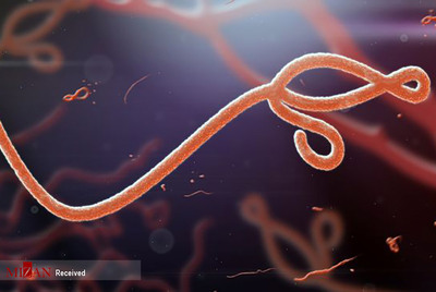 ویروس بیماری ابولا