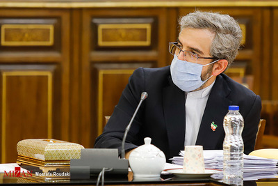 علی باقری کنی رئیس حقوق بشر قوه قضاییه در جلسه شورای عالی قوه قضاییه