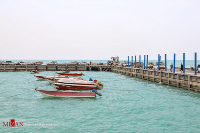 اسکله صیادی بحرکان یکی از بزرگترین اسکله‌های صیادی کشور