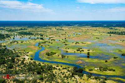 دلتای اوکاوانگو- بوتسوانا