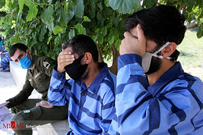 دستگیری ۴ باند سرقت در استان فارس