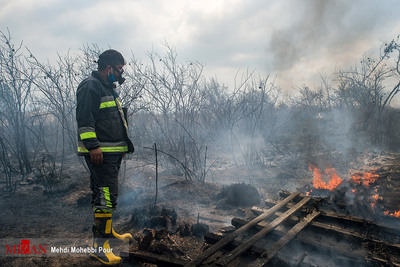 آتش سوزی سریالی در میانکاله مازندران
