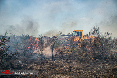 آتش سوزی سریالی در میانکاله مازندران