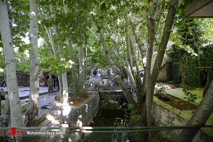 رفع تصرف ۵۰ هزار مترمربع از بستر رودخانه زاینده‌رود در باغ‌بهادران