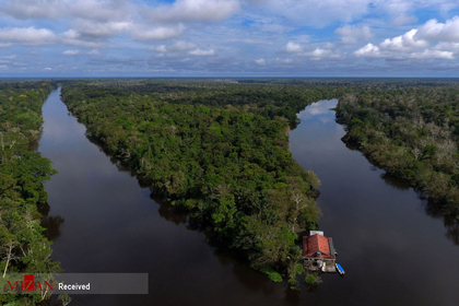 رودخانه آمازون در برزیل
