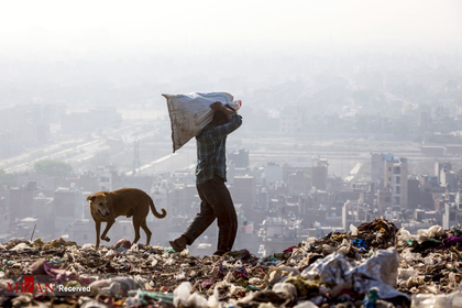 مرد هندی در دهلی نو زباله ها را برای تبدیل انخاب می کند
