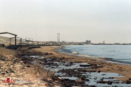 پلاژ آغشته به نفت در مرز کویت و عربستان سعودی
