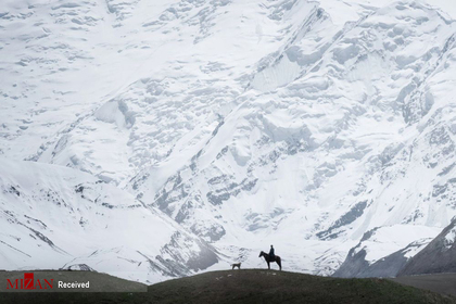 چوپان در کنار قله لنین در قرقیزستان
