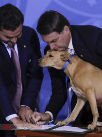 رئیس جمهور برزیل با سگش در حال امضاء