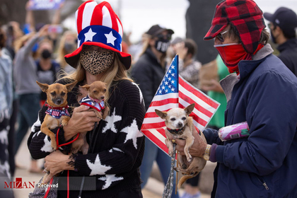 مردم با حیوانات خانگی خود پیروزی جو بایدن در انتخابات آمریکا را جشن می گیرند
