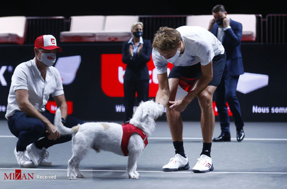 بازیکن تنیس الکساندر زورف با سگش پیروزی خود را جشن می گیرد