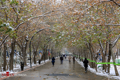 بارش اولین برف پاییزی در مشهد