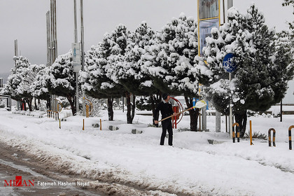 بارش برف پاییزی در زنجان
