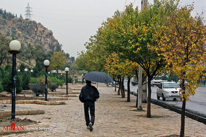 بارش باران در شیراز
