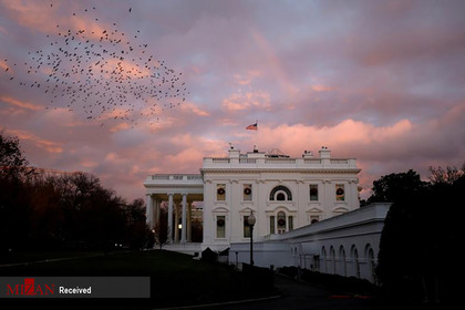 نمایی رنگین کمان از کاخ سفید و پرندگان. 