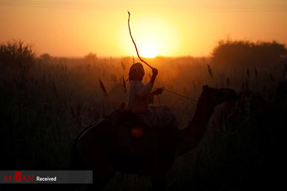 شتر سواری مردی در سودان.