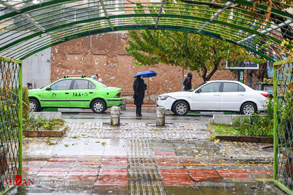 تهران بارانی
