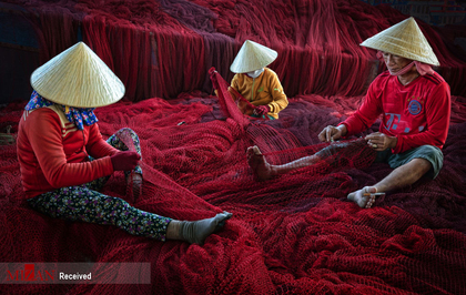 عکسی از عکاس ویتنامی هونگ لونگ، مسابقه عکاسی تصویر زمین 2020 در بخش مردم
