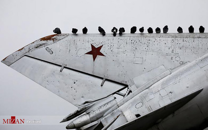 پرندگان روی بال جنگنده اوراقی در روسیه.