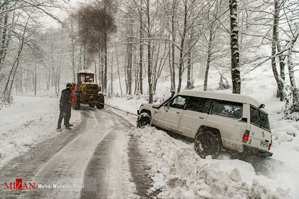 برف و کولاک در جنگل های بهشهر - مازندران
