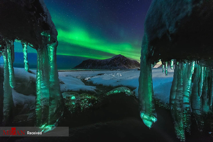 عکاس : دنیس هلویگ - چراغ های یخی لوفوتن 

