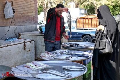 بازار ماهی فروشان خرمشهر
