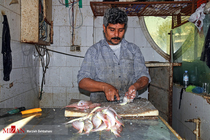 بازار ماهی فروشان خرمشهر
