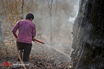 آتش سوزی در جنگل‌های نکا - مازندران
