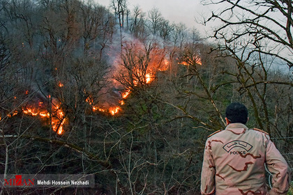آتش سوزی در جنگل‌های نوار مرزی ایران و آذربایجان
