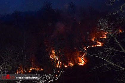آتش سوزی در جنگل‌های نوار مرزی ایران و آذربایجان
