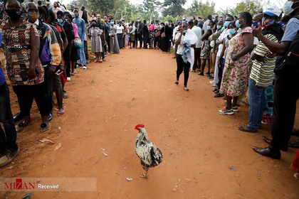 صف رای دهندگان در اوگاندا.