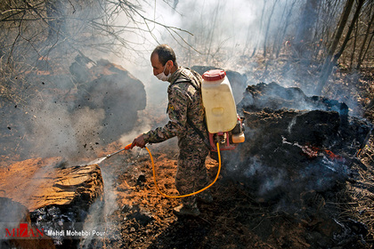 آتش سوزی در جنگل‌های نکا - مازندران