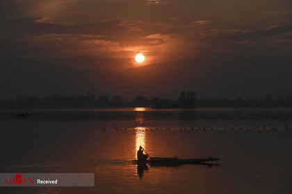 مردی در قایق در دریاچه دال در هند