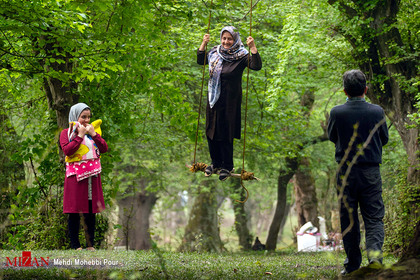 روز طبیعت در جنگل‌های مازندران
