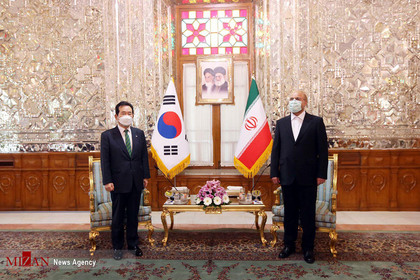 دیدار نخست وزیر کره جنوبی با رئیس مجلس شورای سلامی
