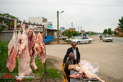 فروش گوشت کنار جاده
