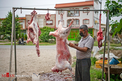 فروش گوشت کنار جاده
