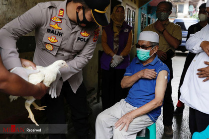 اهدای مرغ زنده در اندونزی