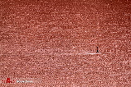 دریاچه ارومیه به رنگ سرخ