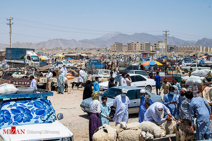 بازار فروش دام در آستانه عید قربان - زاهدان
