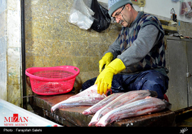 بازار ماهی فروشان تنکابن 