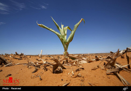 خشکسالی و گرسنگی در آفریقا