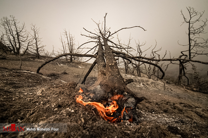 آتش سوزی منطقه حفاظت شده جهان نمای - گلستان
