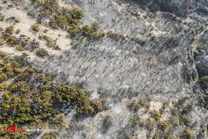 آتش سوزی منطقه حفاظت شده جهان نمای - گلستان
