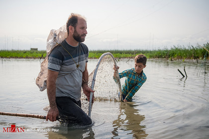 چپی زنی (ماهیگیری دسته جمعی) یکی از قدیمی‌ترین راه‌های صید ماهی در بین مردم مازندران