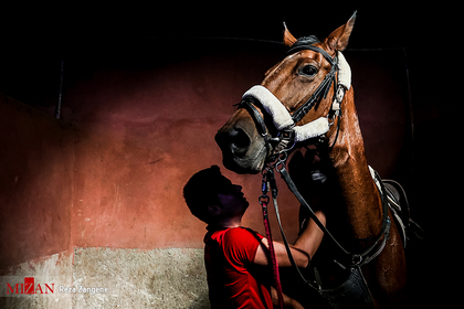 مسابقات قهرمانی پرش با اسب - همدان‎‎
