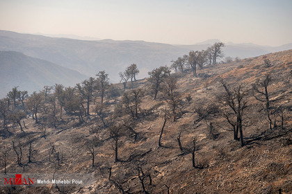 مهار آتش سوزی جنگل های کردکوی

