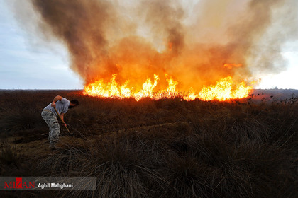 آتش سوزی جزیره آشوراده
