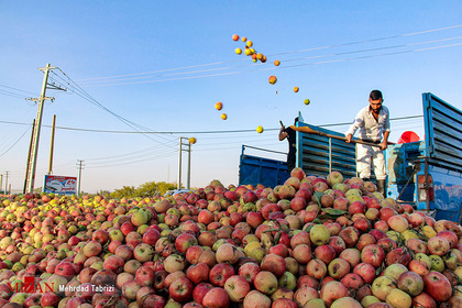 بازار خراب سیب - ارومیه
