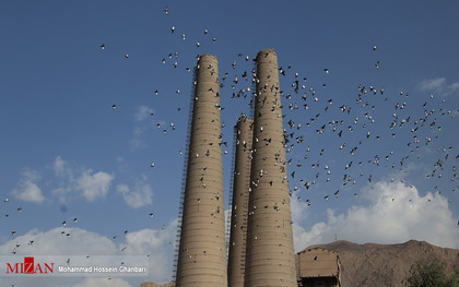 گروه سیمان تهران به عنوان باسابقه‌ترین تولید کننده سیمان در کشور